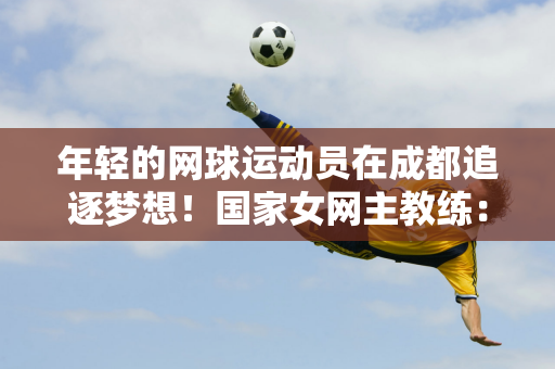 了诸多高效