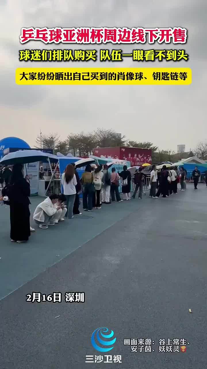 内斯塔在退